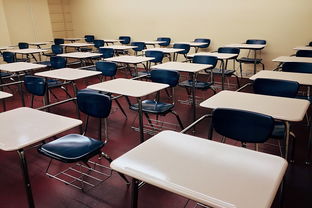 校园体育活动对学生心理弹性的促进，学校体育对青少年心理方面的影响